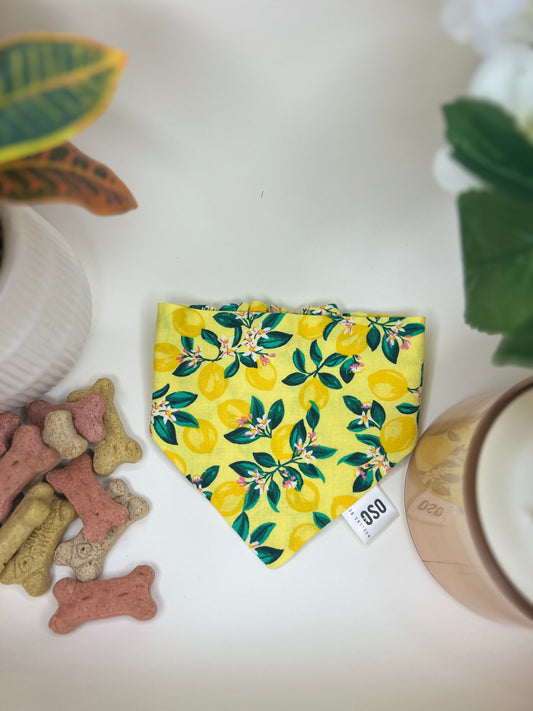 Main squeeze Bandana