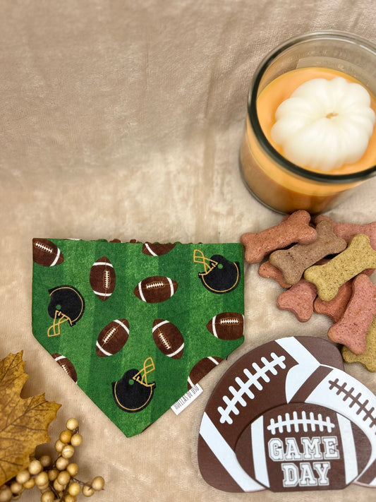 Fetch & Football Bandana