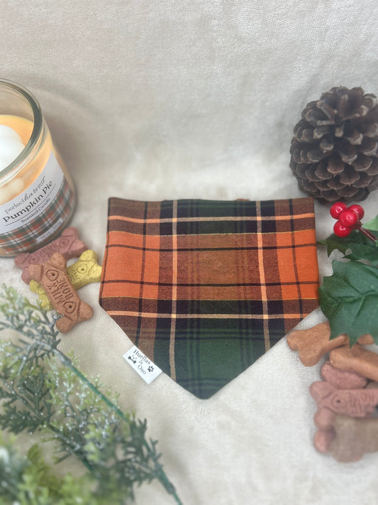 Autumn Woods Bandana