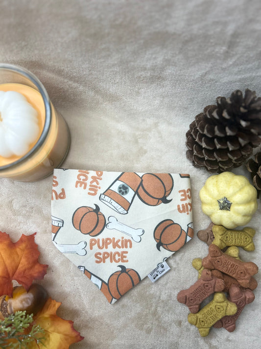 Pupkin Spice Bandana