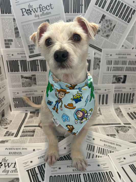 To infinity pup bandana
