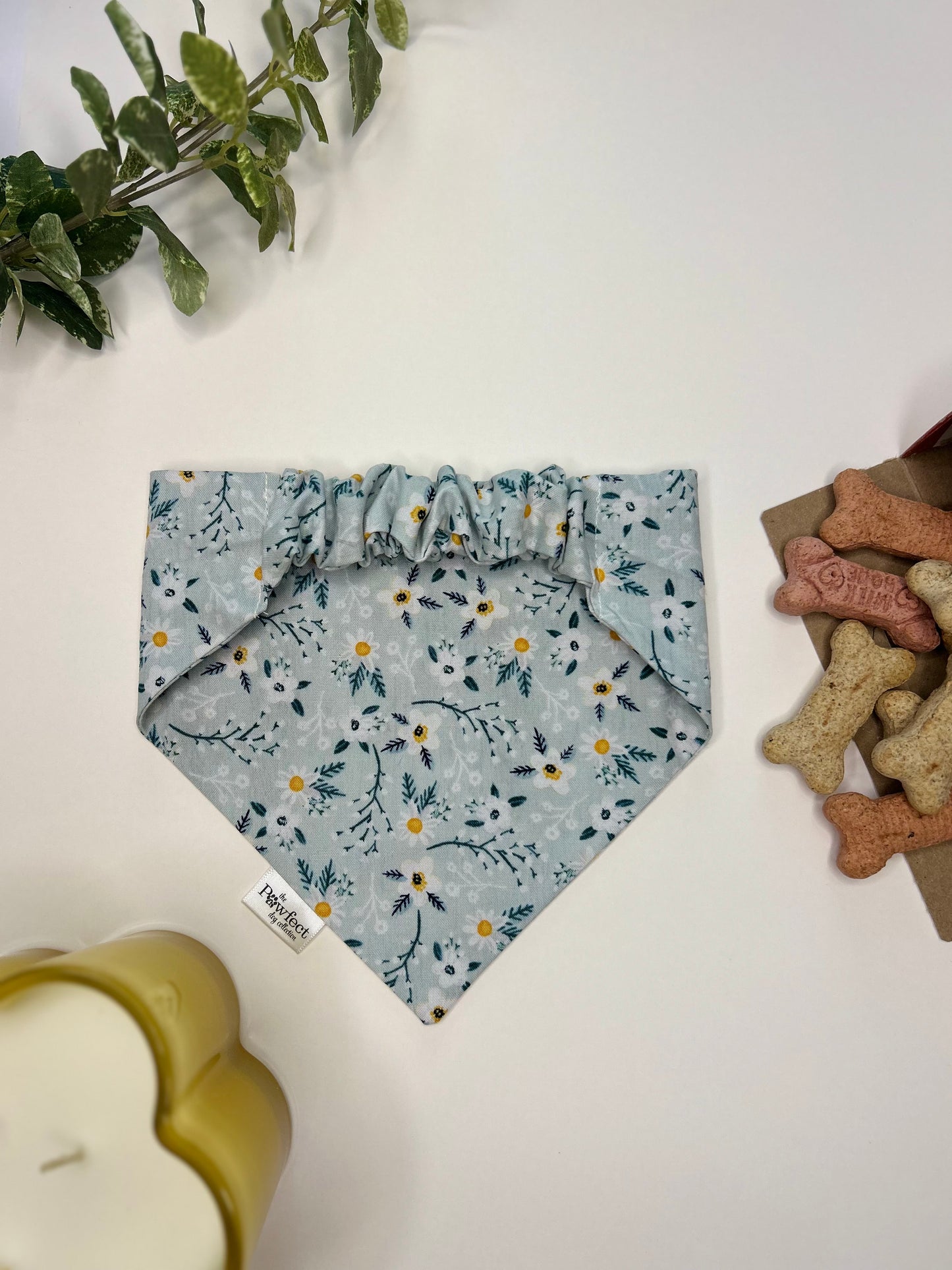 Soft Daisy Blue