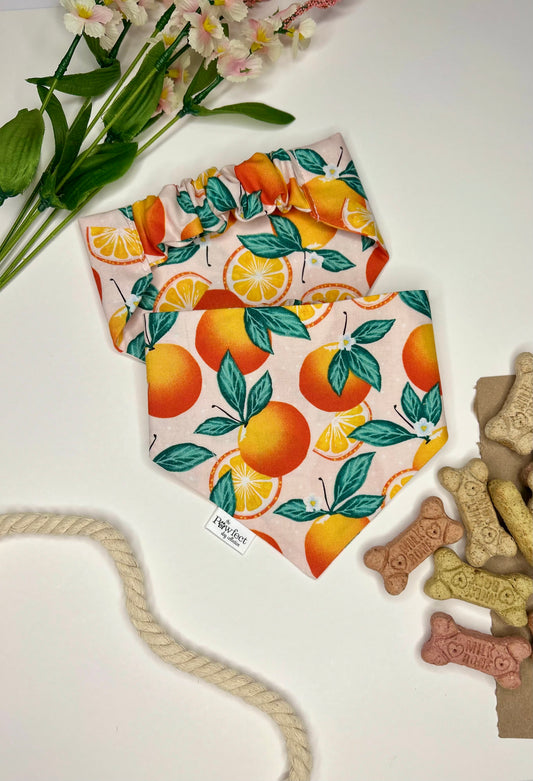 Sweet Oranges Bandana