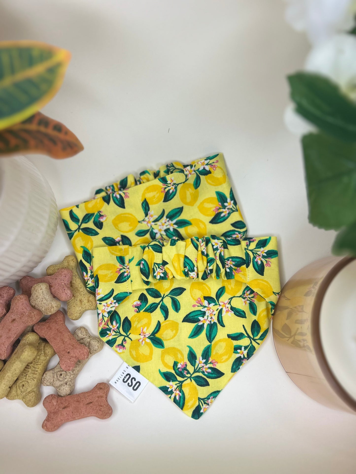 Main squeeze Bandana