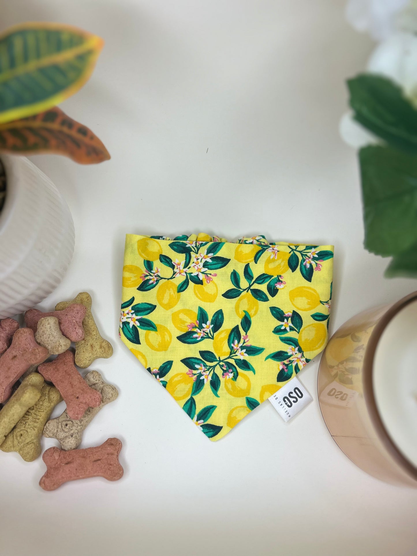 Main squeeze Bandana