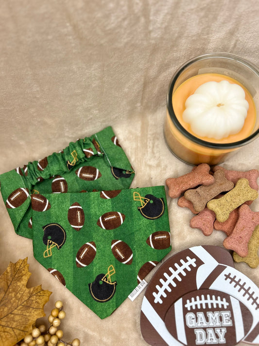 Fetch & Football Bandana