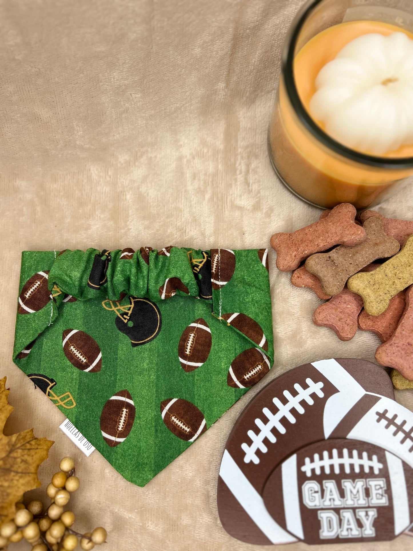 Fetch & Football Bandana