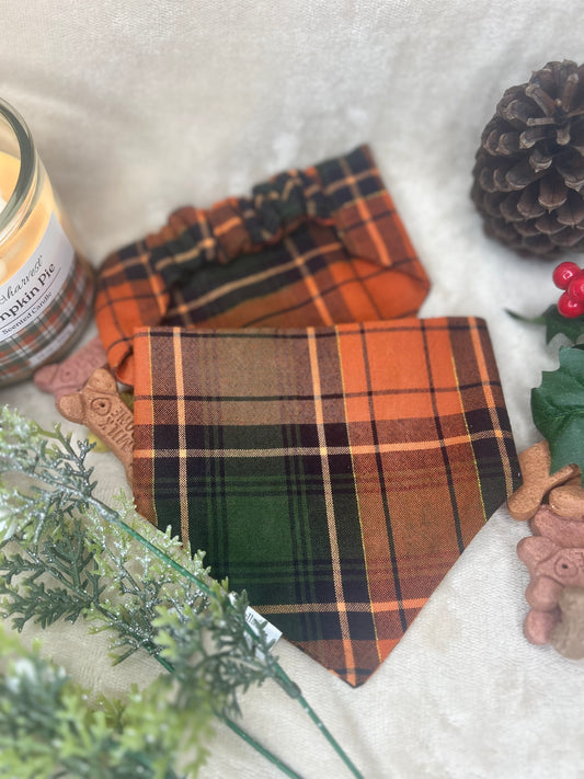 Autumn Woods Bandana