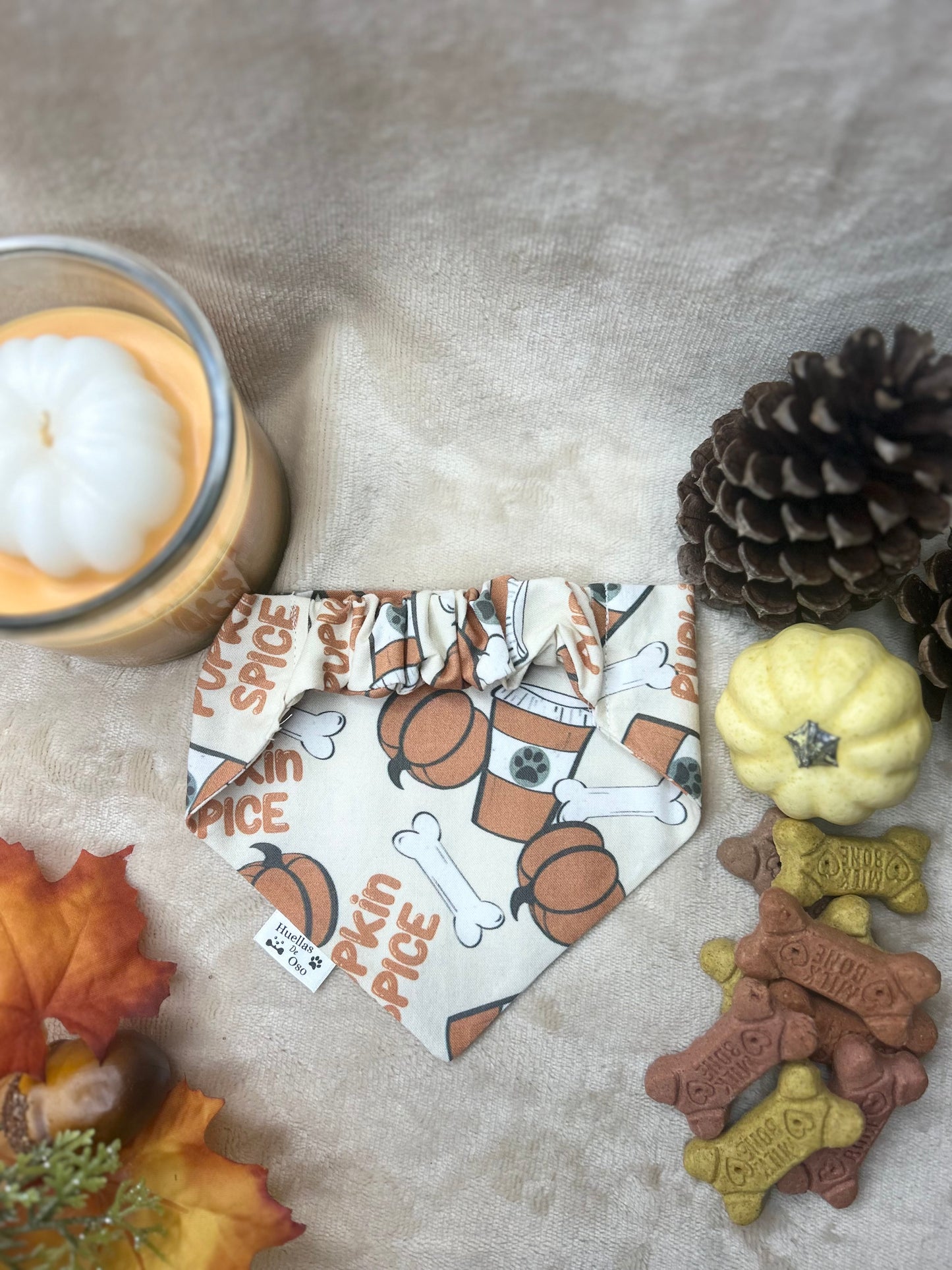 Pupkin Spice Bandana