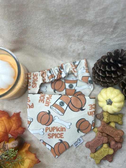 Pupkin Spice Bandana