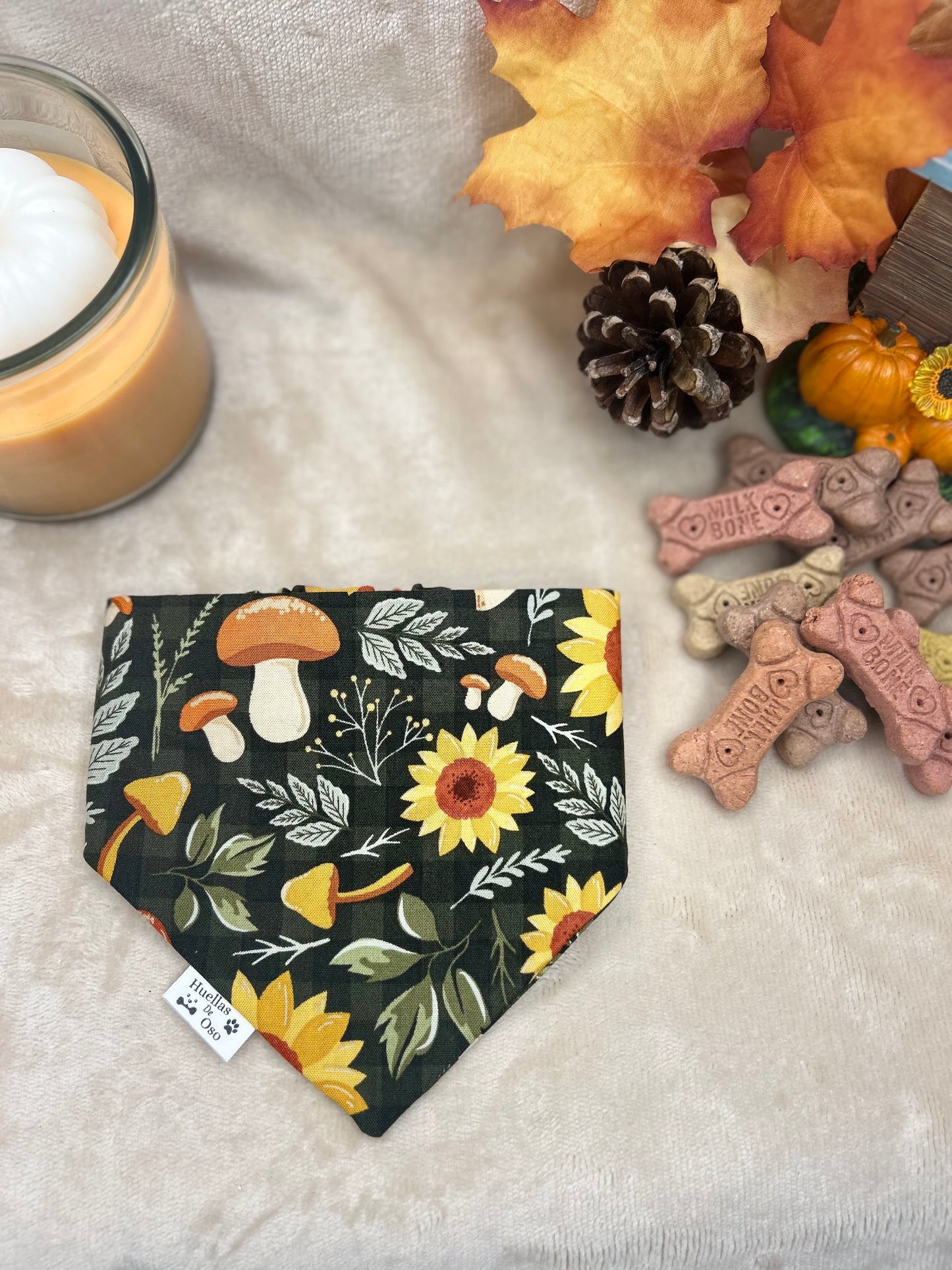 Sunflower and Mushrooms Bandana